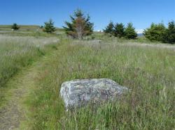 An erratic rock in the restored prairie at American Camp
